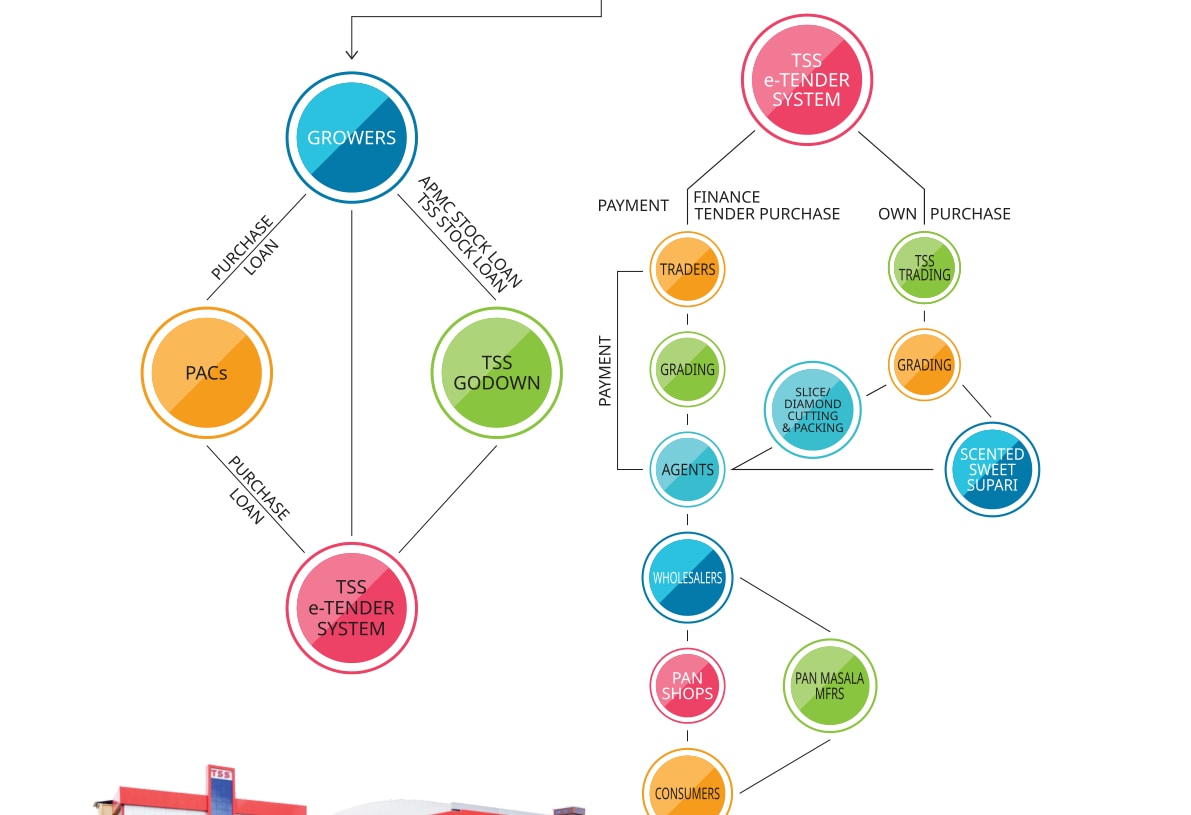 TSS business model flowchart — growers through e-tender to consumers