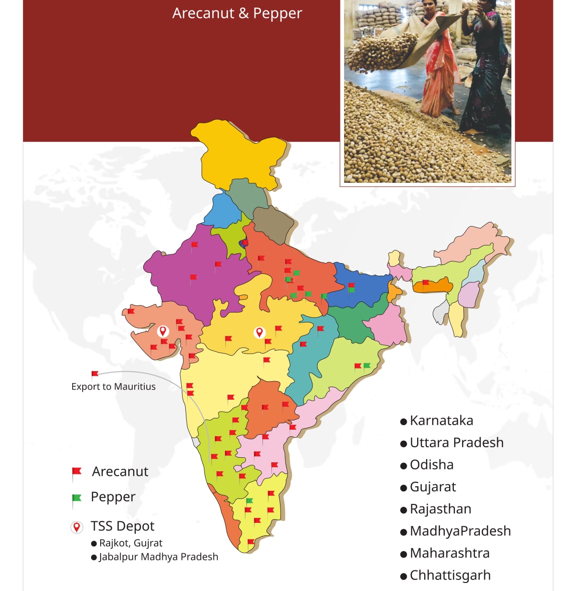 All India distribution map of arecanut and pepper
